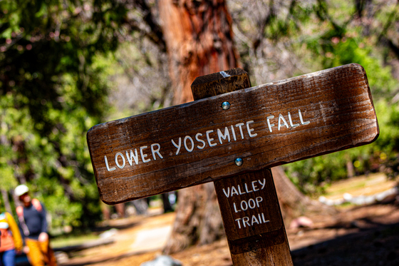 Yosemite National  Park