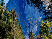 Yosemite National  Park