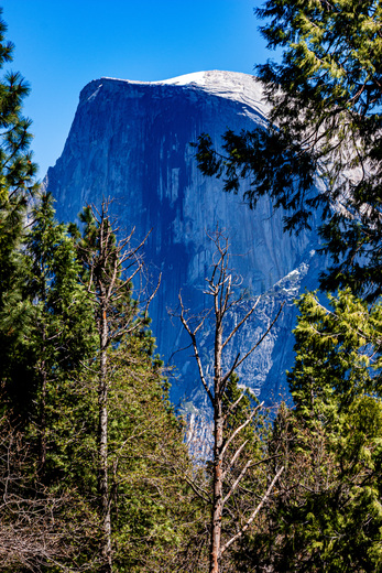 Yosemite National  Park