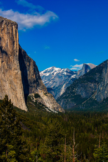 Yosemite National  Park