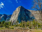 Yosemite National  Park