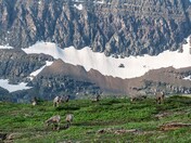 Glacier National Park