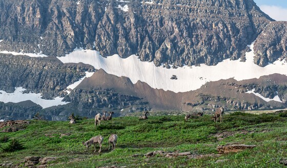 Glacier National Park