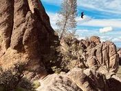 Pinnacles National Park