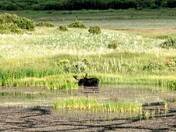 Rocky Mountain National Park 