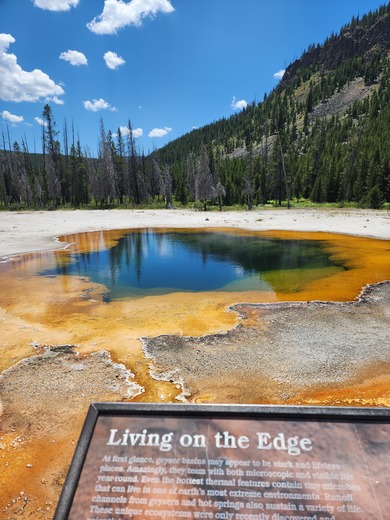 Yellowstone National Park 