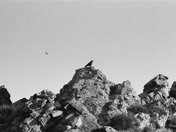 Death Valley National Park
