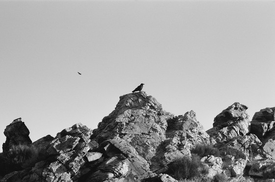 Death Valley National Park
