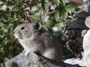 Grand Teton National Park