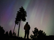 Okanagan-Wenatchee National Forest