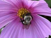 Breakfast Amongst the Cosmos