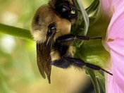 Breakfast Amongst the Cosmos
