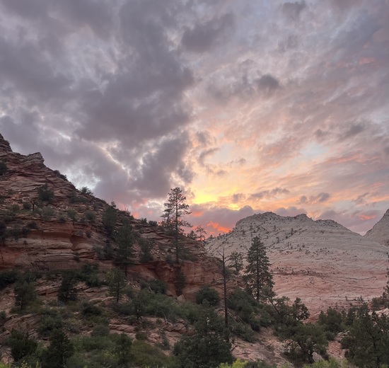 Zion National Park