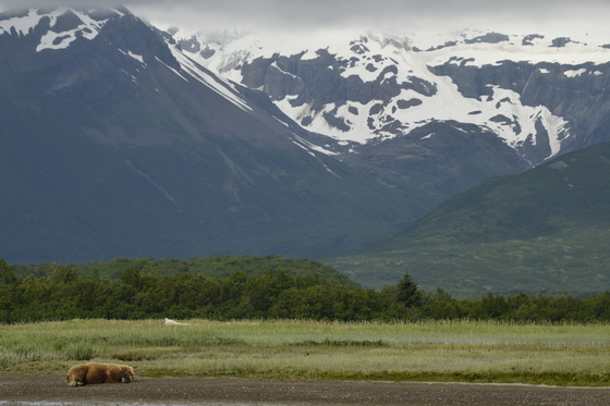 Katmai National Park