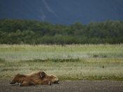 Katmai National Park