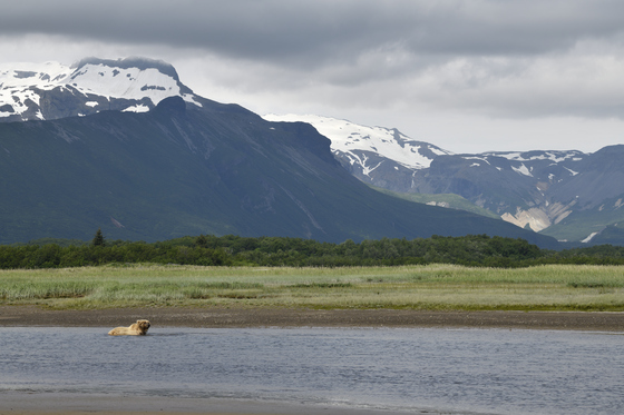 Katmai National Park