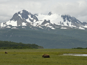 Katmai National Park