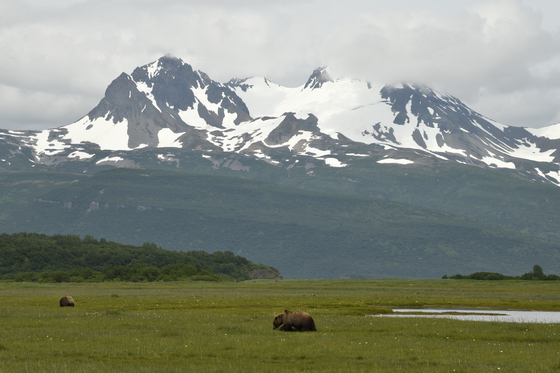 Katmai National Park