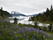 Chugach National Forest