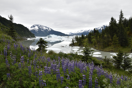 Chugach National Forest