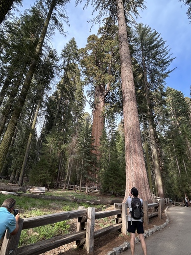 Yosemite National Park