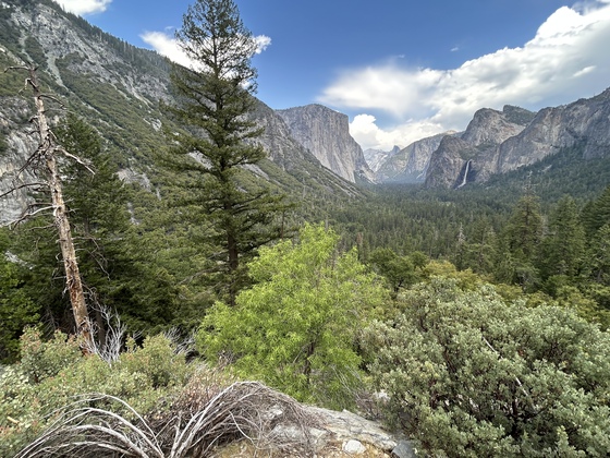 Yosemite National Park