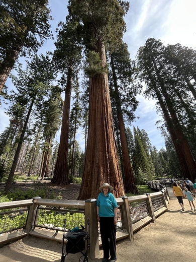 Yosemite National Park