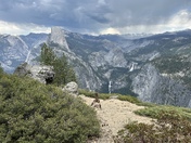 Yosemite National Park