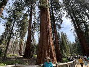 Yosemite National Park