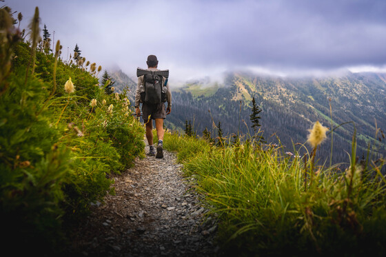 Okanogan National Forest