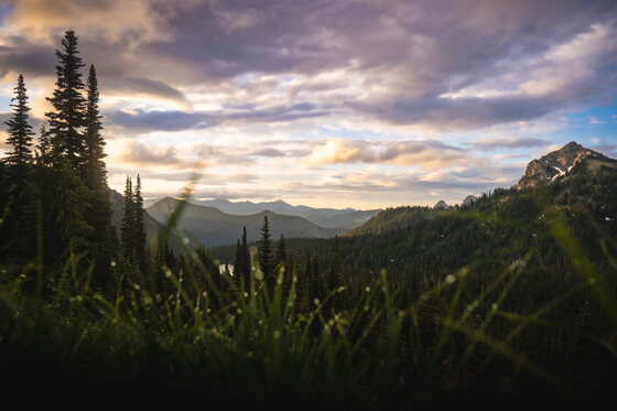 Mount Rainier National Park