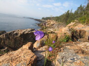 Acadia National Park