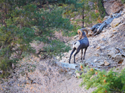 Grand Canyon National Park