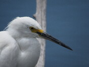 Big Cypress National Preserve