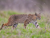 Point Reyes National Seashore