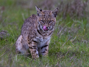 Point Reyes National Seashore