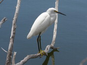 Big Cypress National Preserve