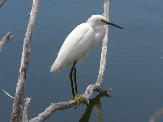 Big Cypress National Preserve
