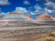 Petrified Forest National Park