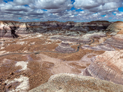 Petrified Forest National Park