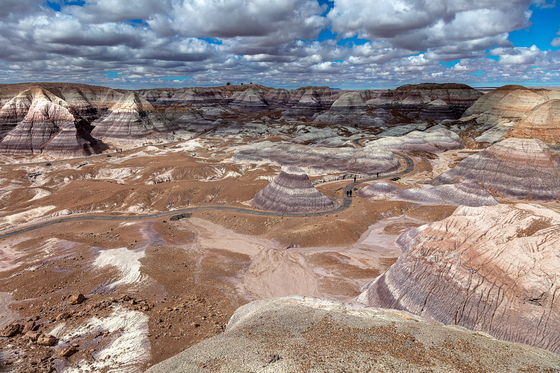 Petrified Forest National Park
