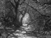 Big Bend National Park