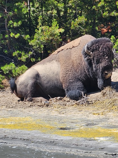 Yellowstone National Park 