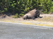 Yellowstone National Park 