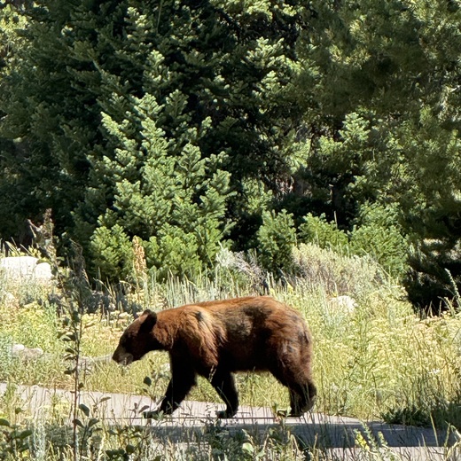 Grand Tetons National Park
