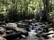 Great Smoky Mountains National Park