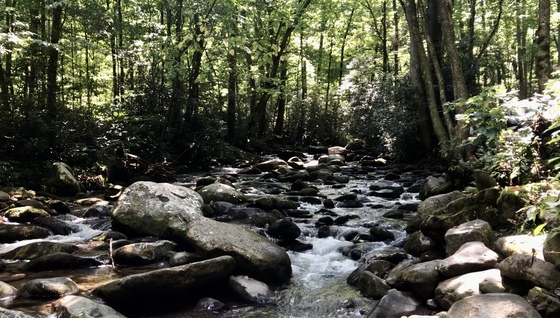 Great Smoky Mountains National Park