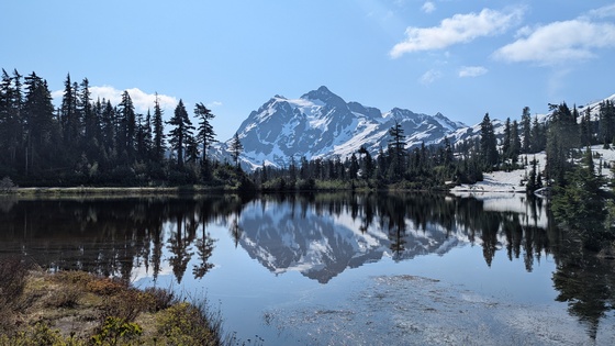 Mt. Baker Snoqualmie Forest