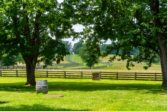 Appomattox Court House National Historical Park 