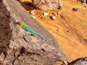 Colorado National Monument
